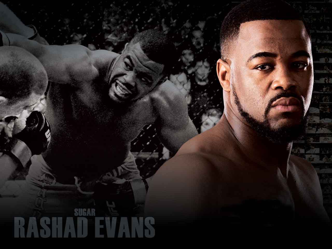 Rashad Evans